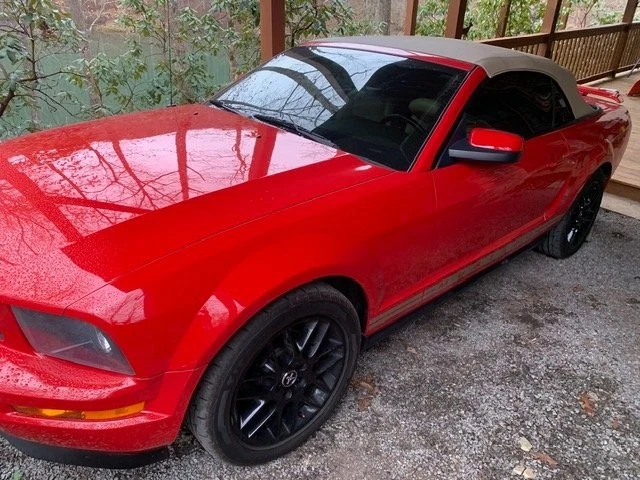 2006 Ford S197 Mustang - Image 12 of 21