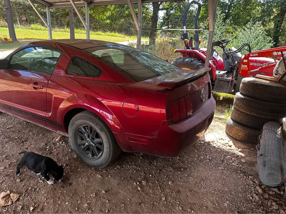 2006 Ford S197 Mustang - Image 11 of 14
