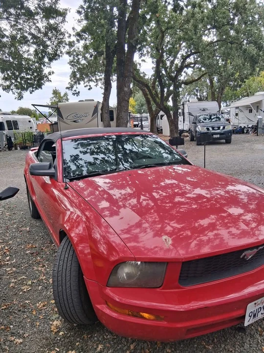 2006 Ford S197 Mustang - Image 6 of 10
