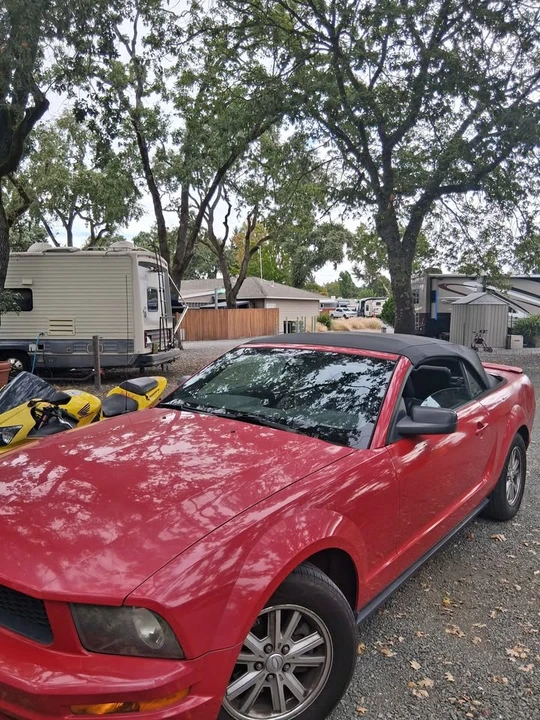 2006 Ford S197 Mustang - Image 7 of 10
