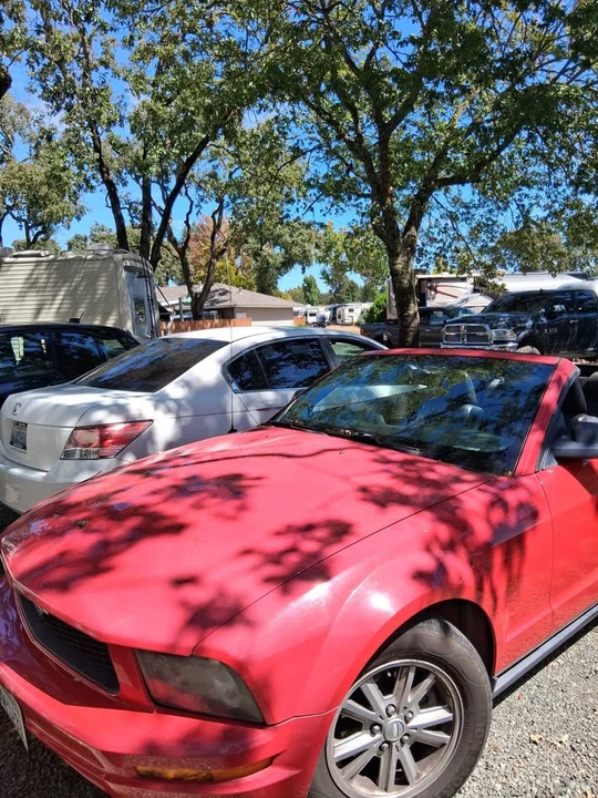 2006 Ford S197 Mustang - Image 5 of 10
