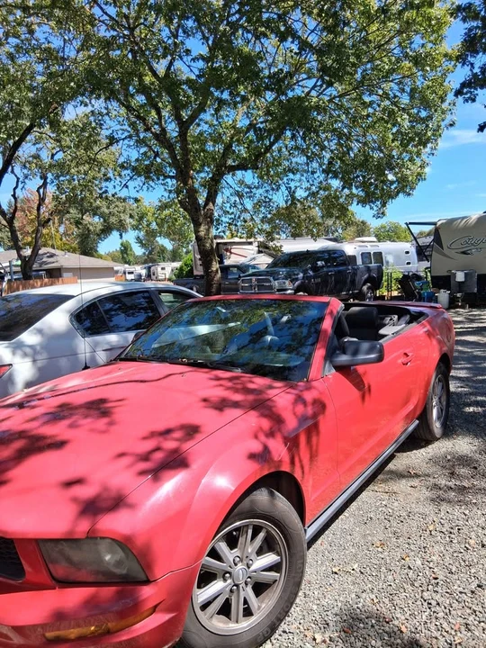 2006 Ford S197 Mustang - Image 4 of 10