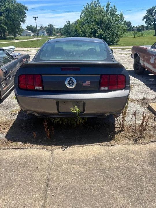 2006 Ford S197 Mustang - Image 5 of 15
