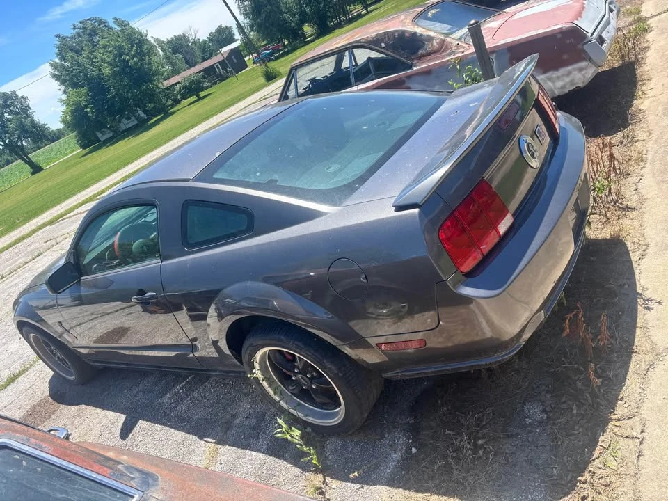 2006 Ford S197 Mustang - Image 6 of 15