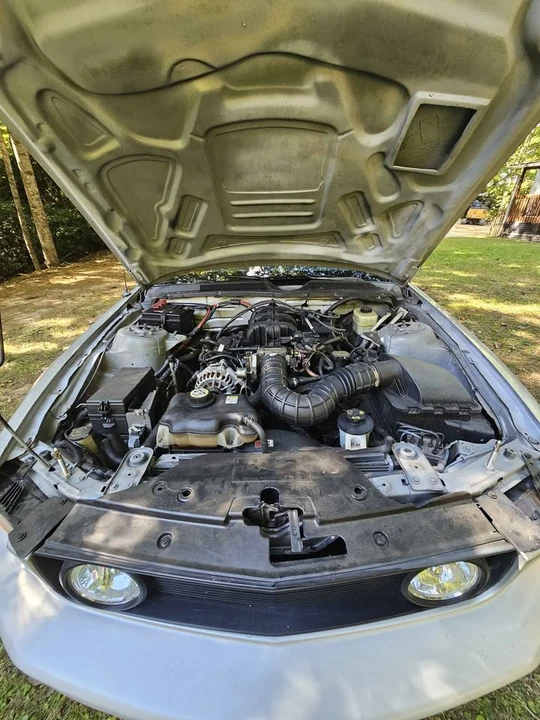 2006 Ford S197 Mustang - Image 8 of 12