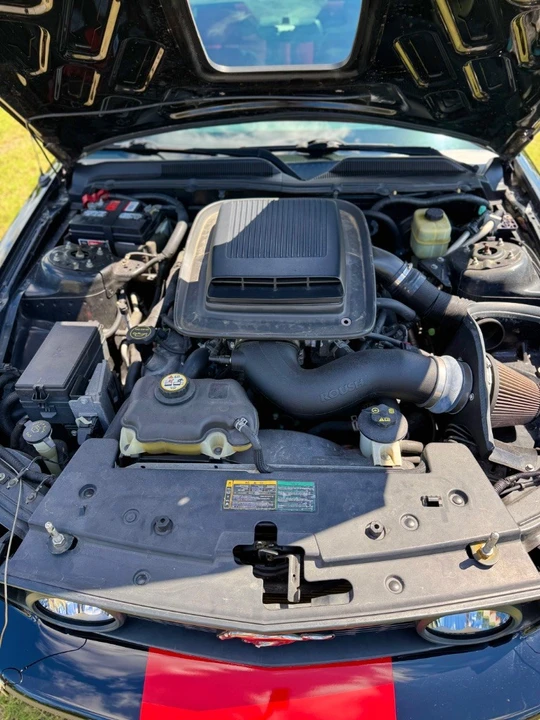 2006 Ford S197 Mustang - Image 16 of 17