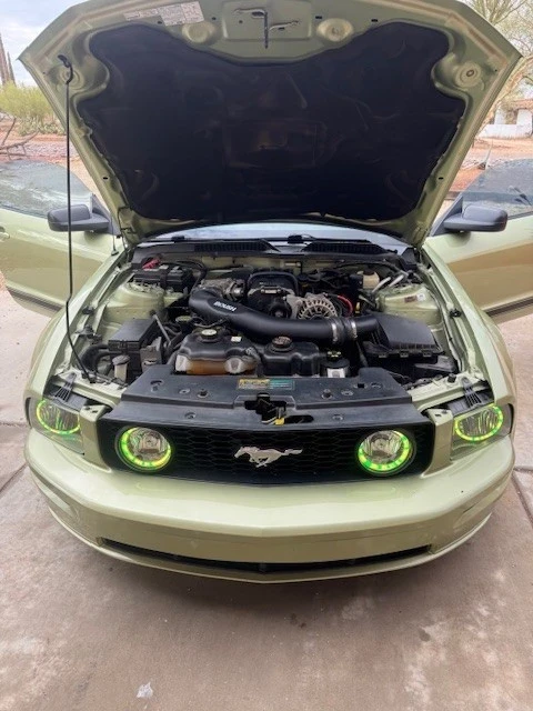 2006 Ford S197 Mustang - Image 2 of 16