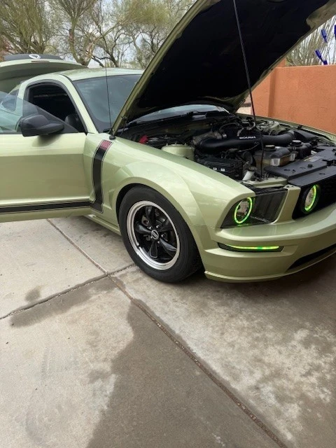 2006 Ford S197 Mustang - Image 10 of 16