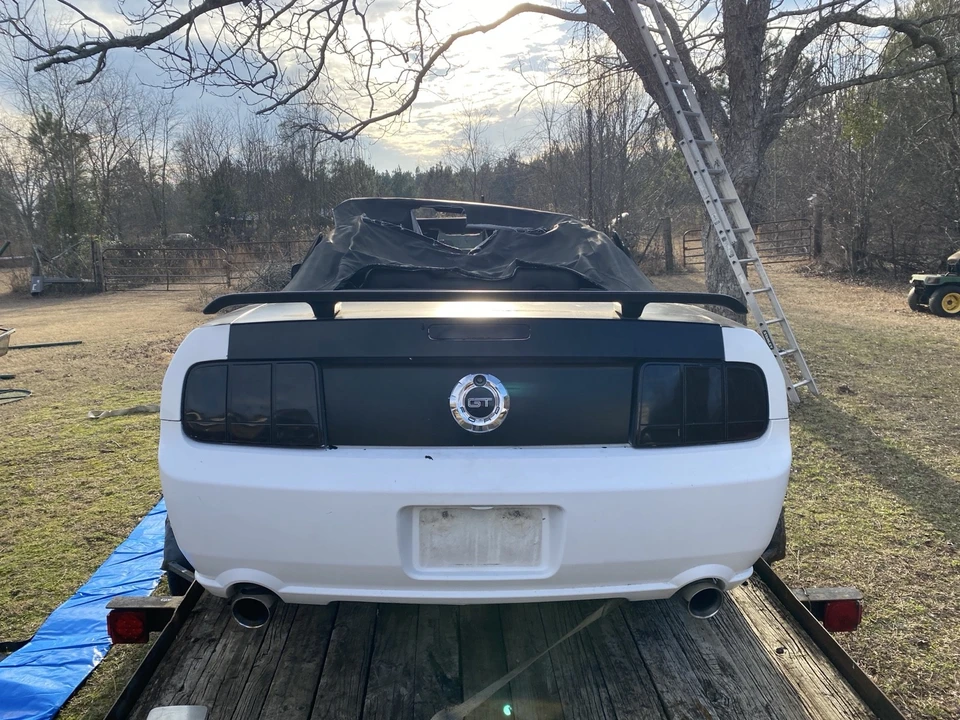 2006 Ford S197 Mustang - Image 3 of 15