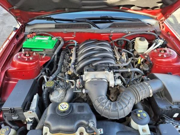 2006 Ford S197 Mustang - Image 17 of 21