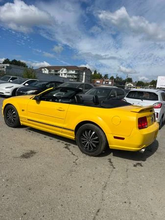 2006 Ford S197 Mustang - Image 12 of 12
