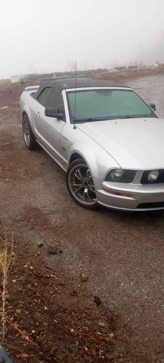 2006 Ford S197 Mustang GT - Image 3 of 11