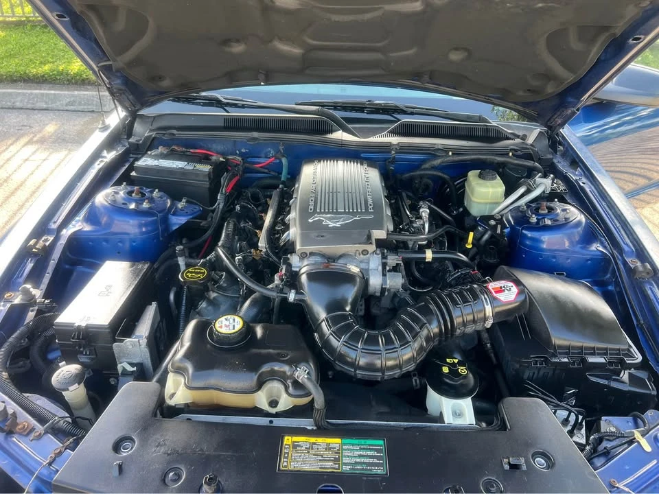 2006 Ford S197 Mustang - Image 14 of 16