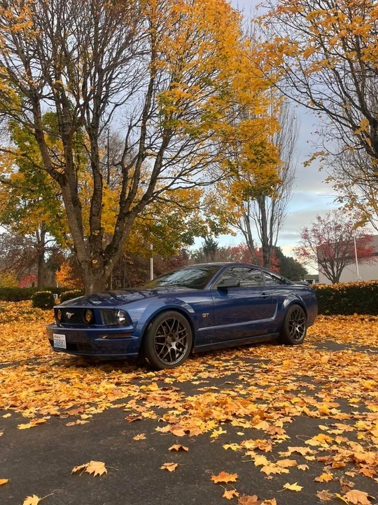 2006 Ford S197 Mustang GT - Image 2 of 16
