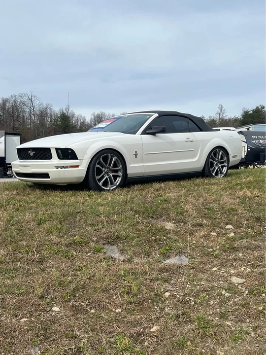 2006 Ford S197 Mustang - Image 5 of 10