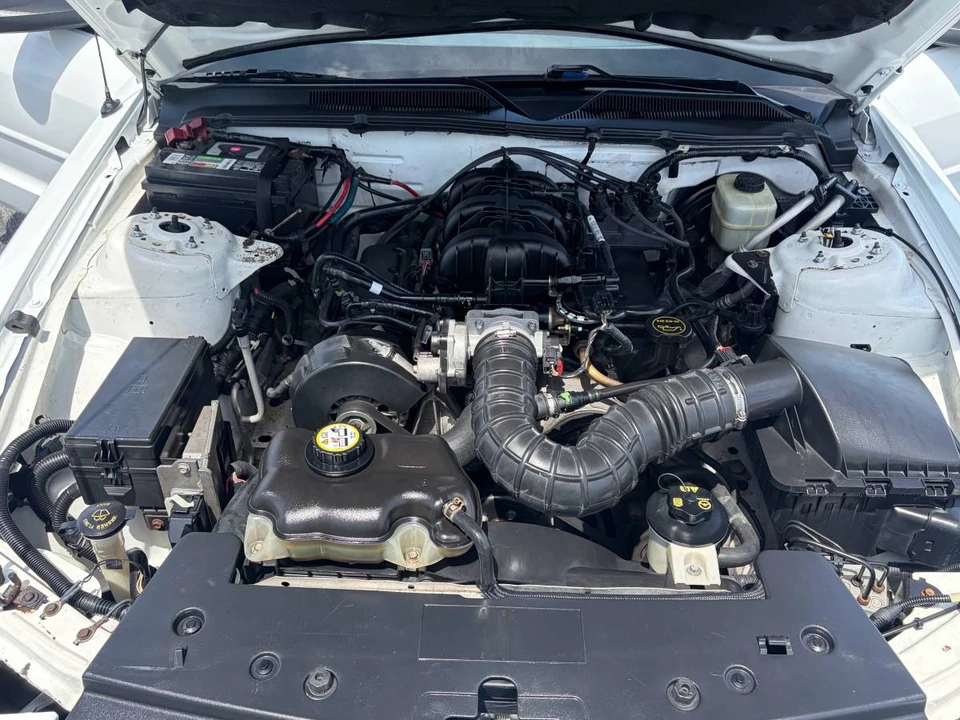 2006 Ford S197 Mustang - Image 15 of 22