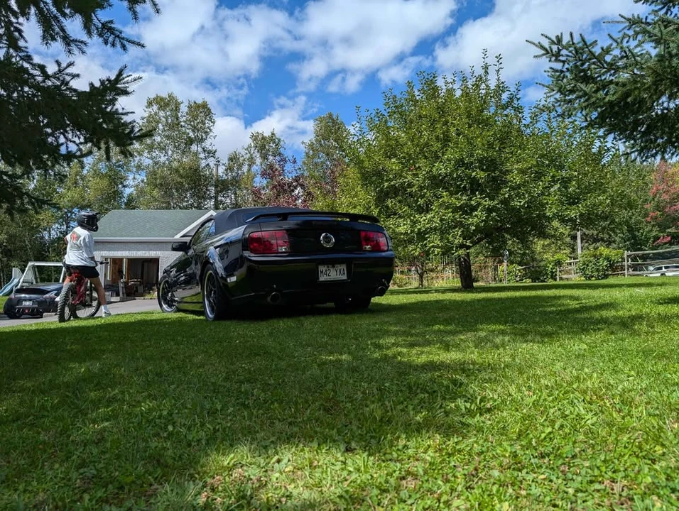 2006 Ford S197 Mustang - Image 6 of 8