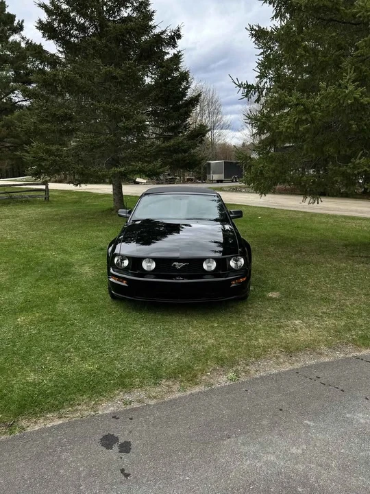 2006 Ford S197 Mustang - Image 8 of 8