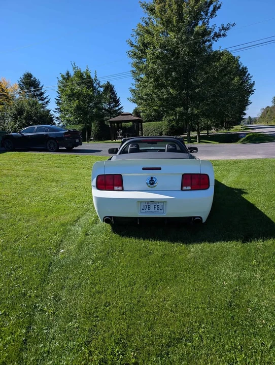 2006 Ford S197 Mustang - Image 6 of 7