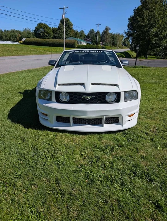 2006 Ford S197 Mustang - Image 2 of 7