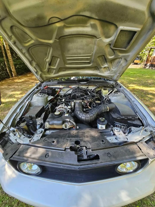 2006 Ford S197 Mustang - Image 8 of 13