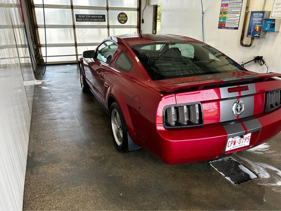 2006 Ford S197 Mustang - Image 5 of 9