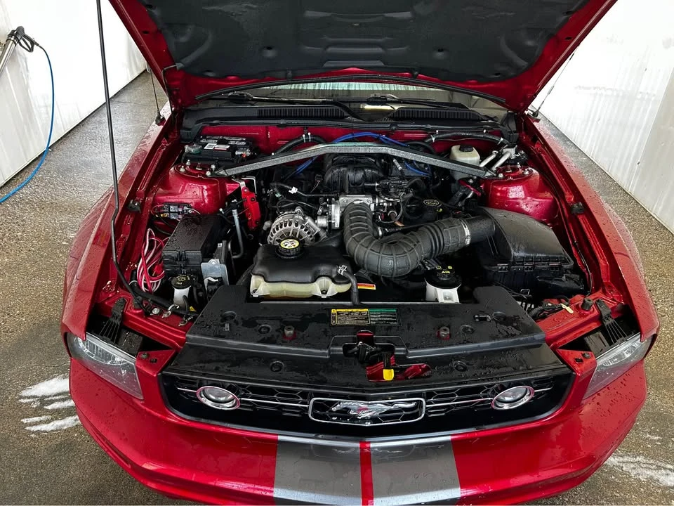 2006 Ford S197 Mustang - Image 7 of 9