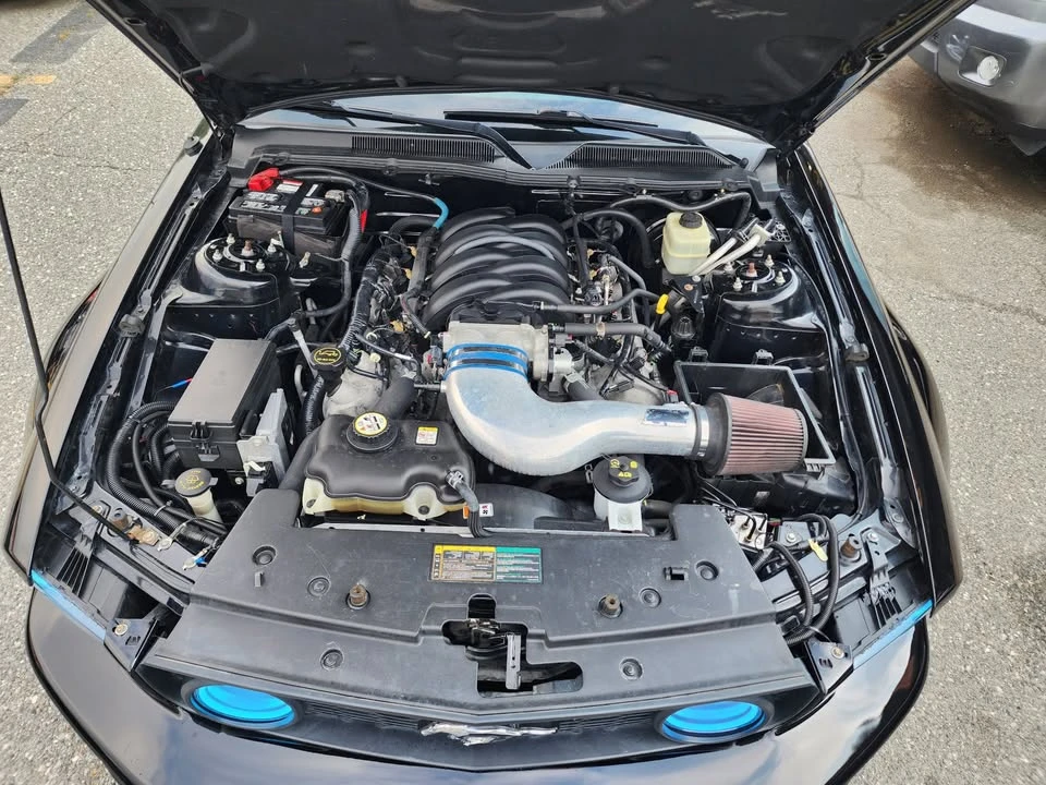 2006 Ford S197 Mustang - Image 19 of 20