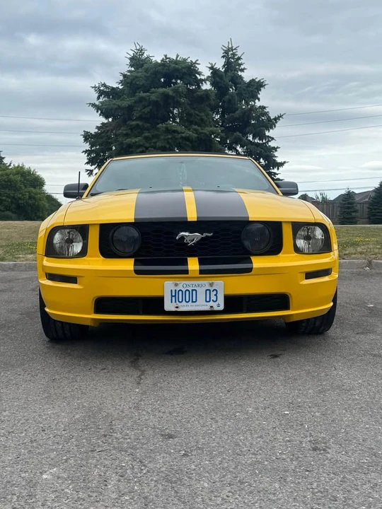 2006 Ford S197 Mustang - Image 6 of 10