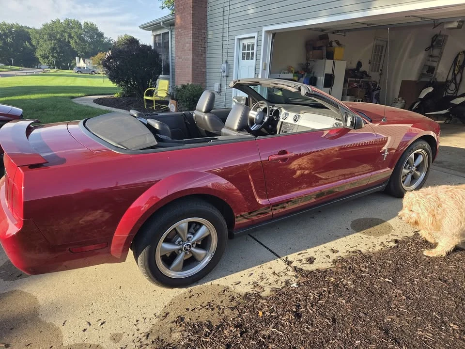2006 Ford S197 Mustang - Image 11 of 13