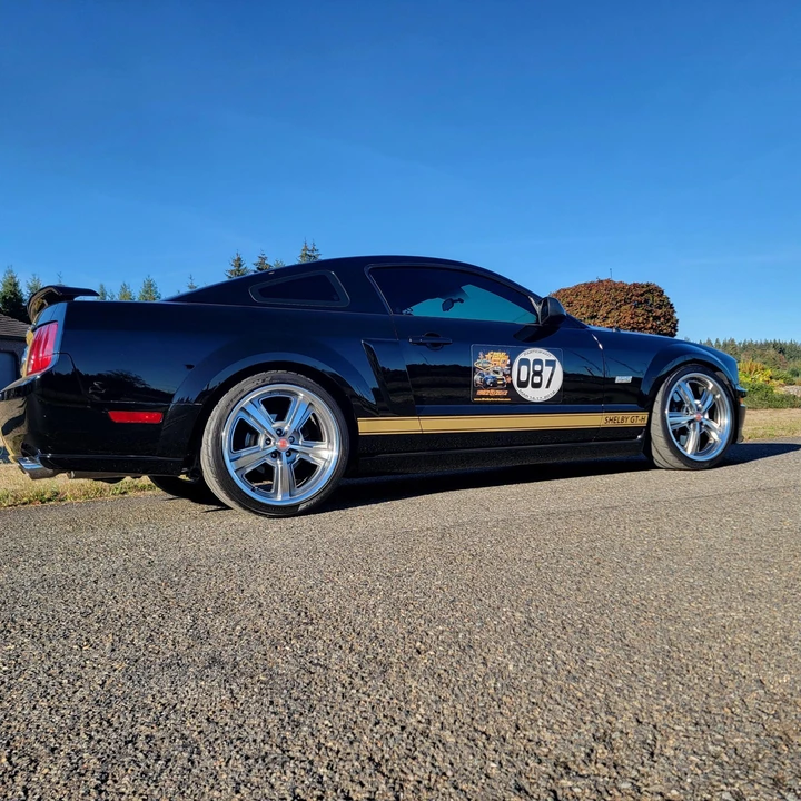 2006 Ford S197 I Shelby Mustang CS6/8 & GT & GT-H & Terlingua - Image 6 of 31