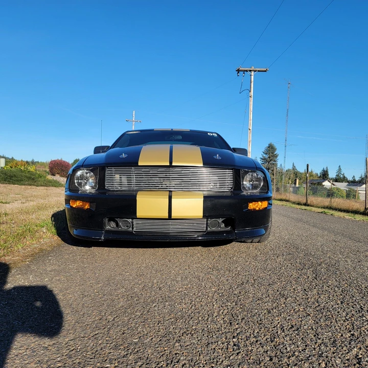 2006 Ford S197 I Shelby Mustang CS6/8 & GT & GT-H & Terlingua - Image 3 of 31