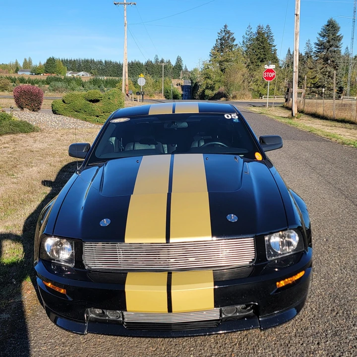 2006 Ford S197 I Shelby Mustang CS6/8 & GT & GT-H & Terlingua - Image 4 of 31