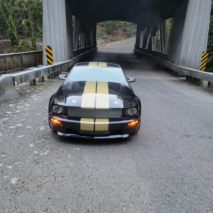 2006 Ford S197 I Shelby Mustang CS6/8 & GT & GT-H & Terlingua - Image 9 of 31