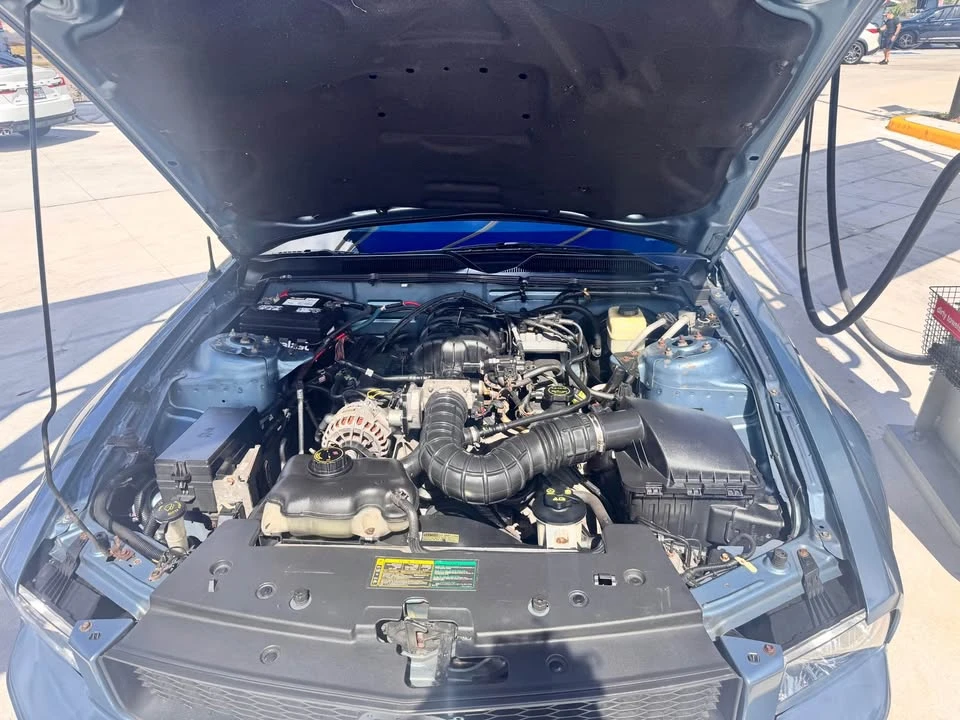 2006 Ford S197 Mustang - Image 10 of 11