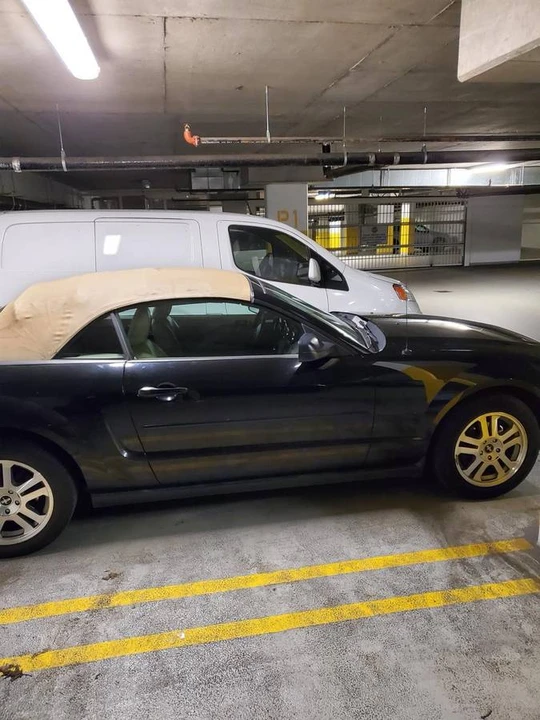 2006 Ford S197 Mustang - Image 4 of 8