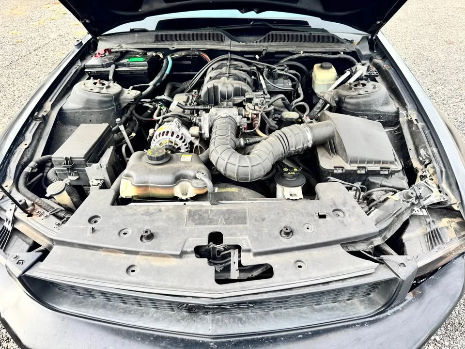 2006 Ford S197 Mustang - Image 13 of 13