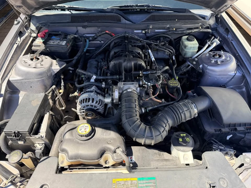 2006 Ford S197 Mustang - Image 12 of 12