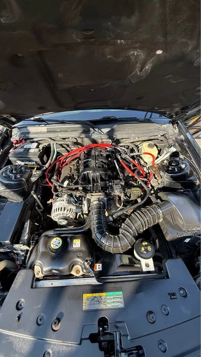 2006 Ford S197 Mustang - Image 14 of 15