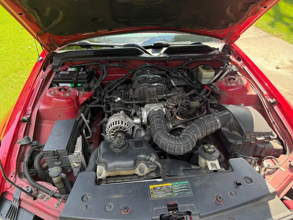 2006 Ford S197 Mustang - Image 15 of 15