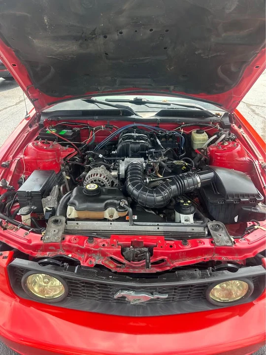 2006 Ford S197 Mustang - Image 13 of 13