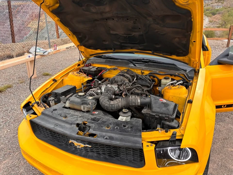 2006 Ford S197 Mustang - Image 14 of 15