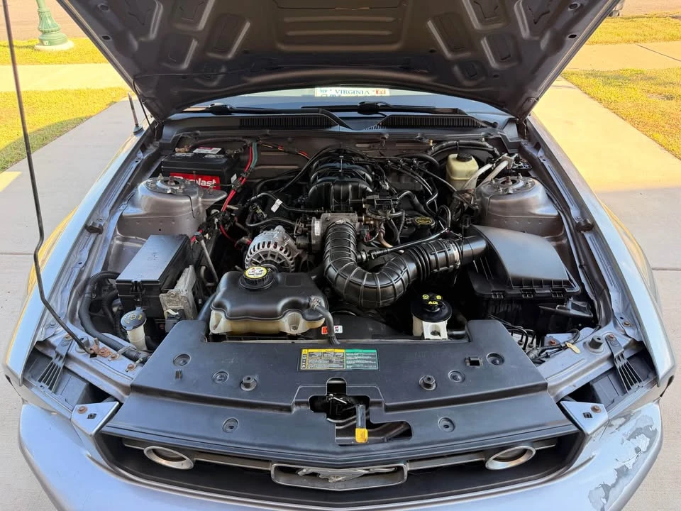 2006 Ford S197 Mustang - Image 9 of 9