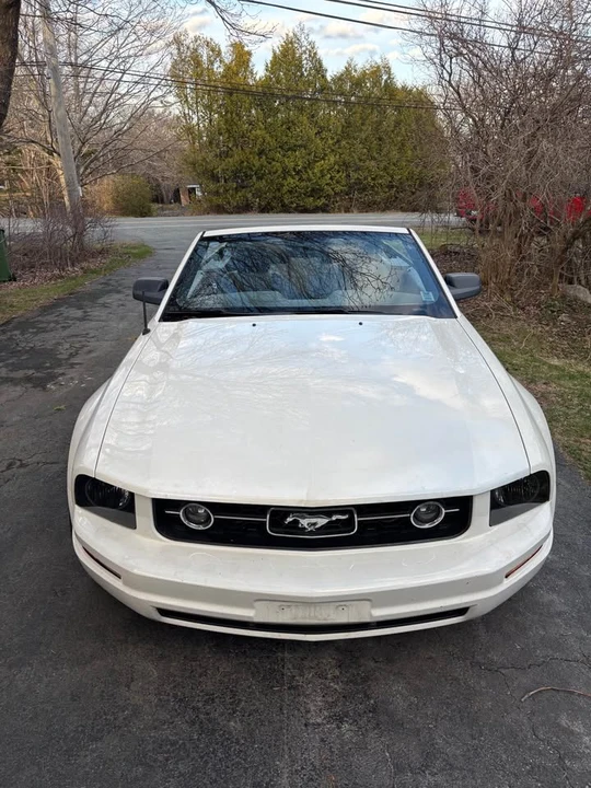 2006 Ford S197 Mustang - Image 6 of 6