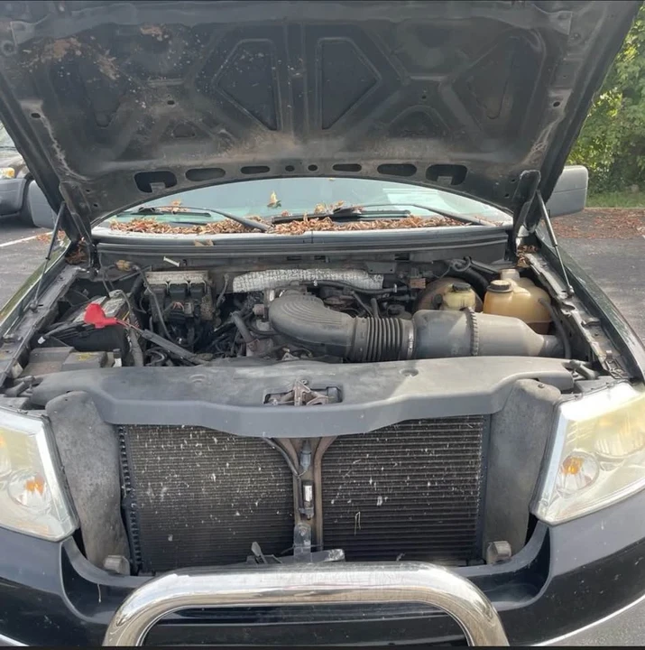 2006 Ford F-150 11th Gen - Image 15 of 15