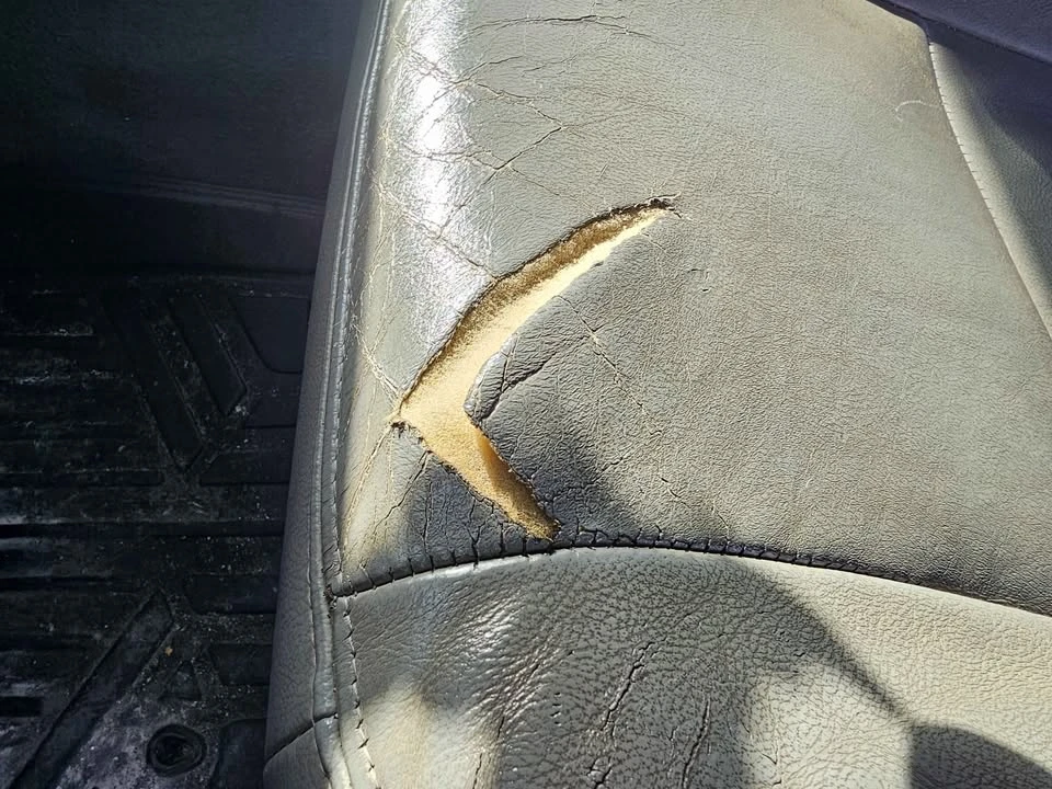2006 Ford Super Duty 1st Gen - Image 14 of 15