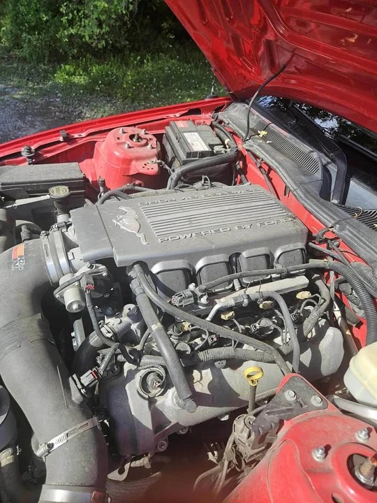 2006 Ford S197 Mustang - Image 8 of 9