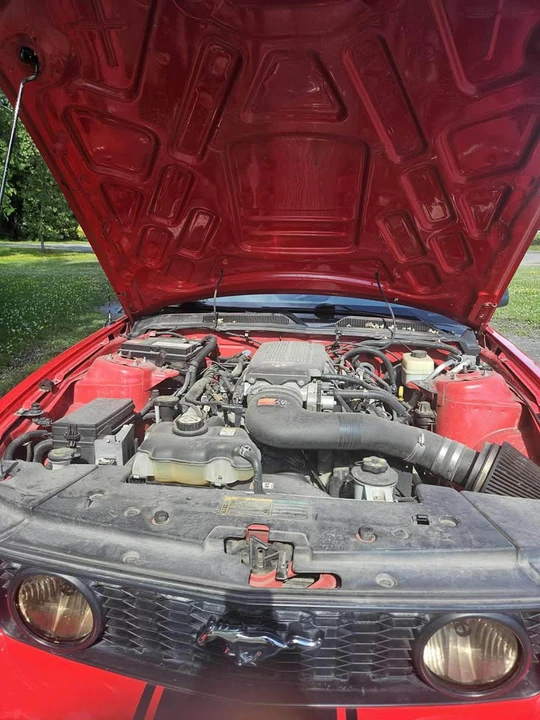 2006 Ford S197 Mustang - Image 6 of 9