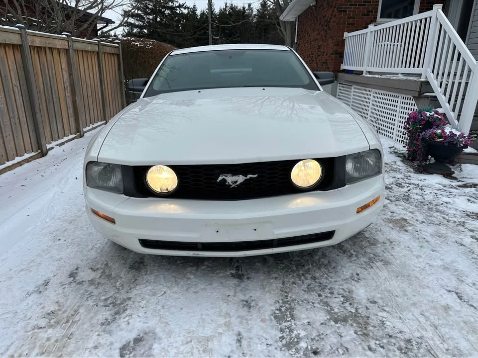 2006 Ford S197 Mustang - Image 2 of 10
