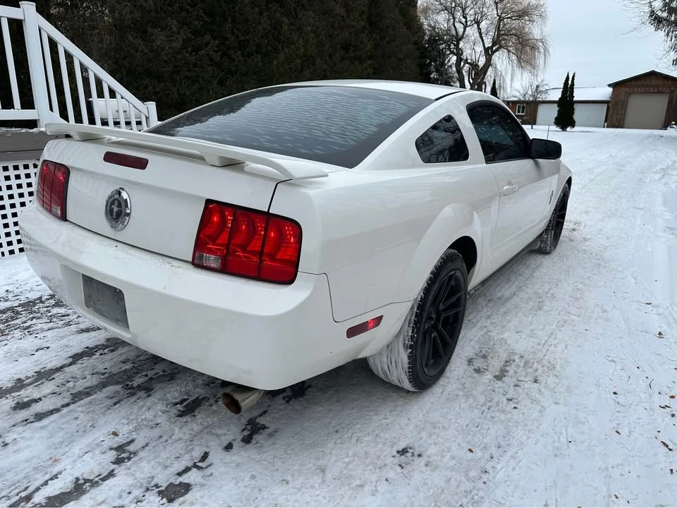 2006 Ford S197 Mustang - Image 4 of 10